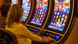 dewi Sportsbook